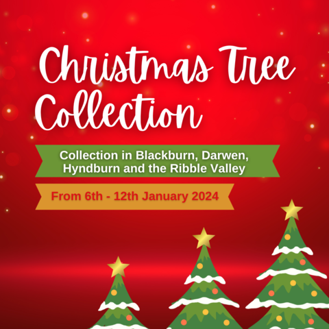Sprucing up for a Cause: East Lancashire Hospice's Post-Christmas Tree Collection Service