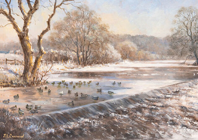 The Weir at Whalley