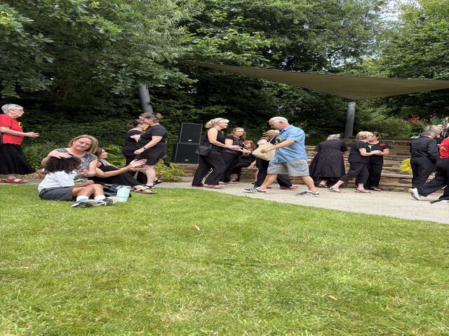 IMG 2500
