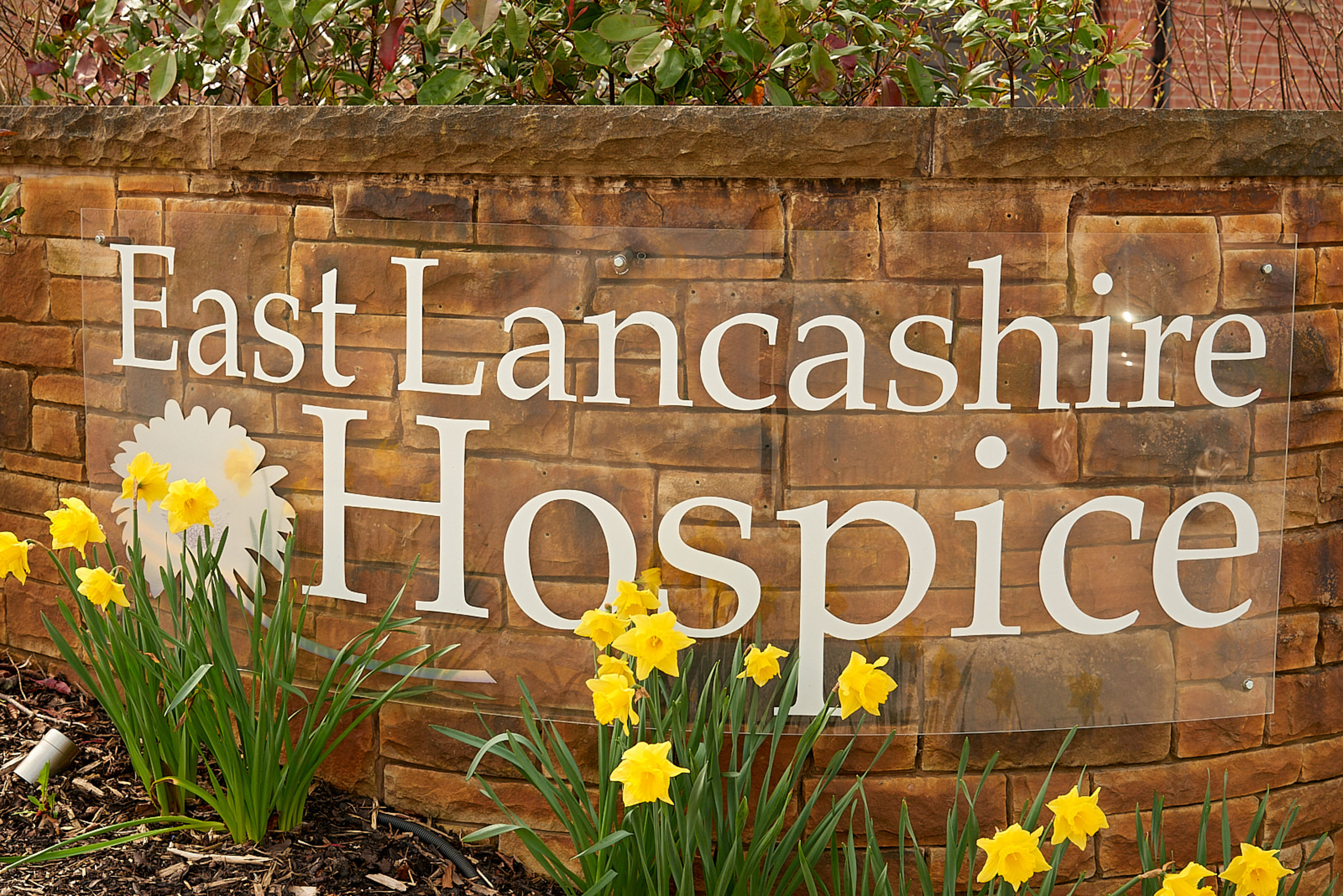 Shoot & Bloom ELH_010421-107_sm Hospice Front Sign & Daffodils (Land)