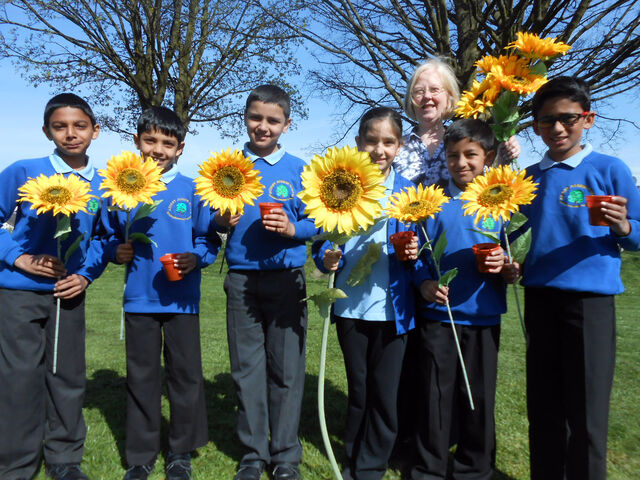 Blackburn school joins sunflower celebration