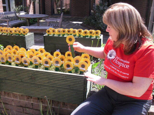 Our sunflower memory garden is looking blooming lovely
