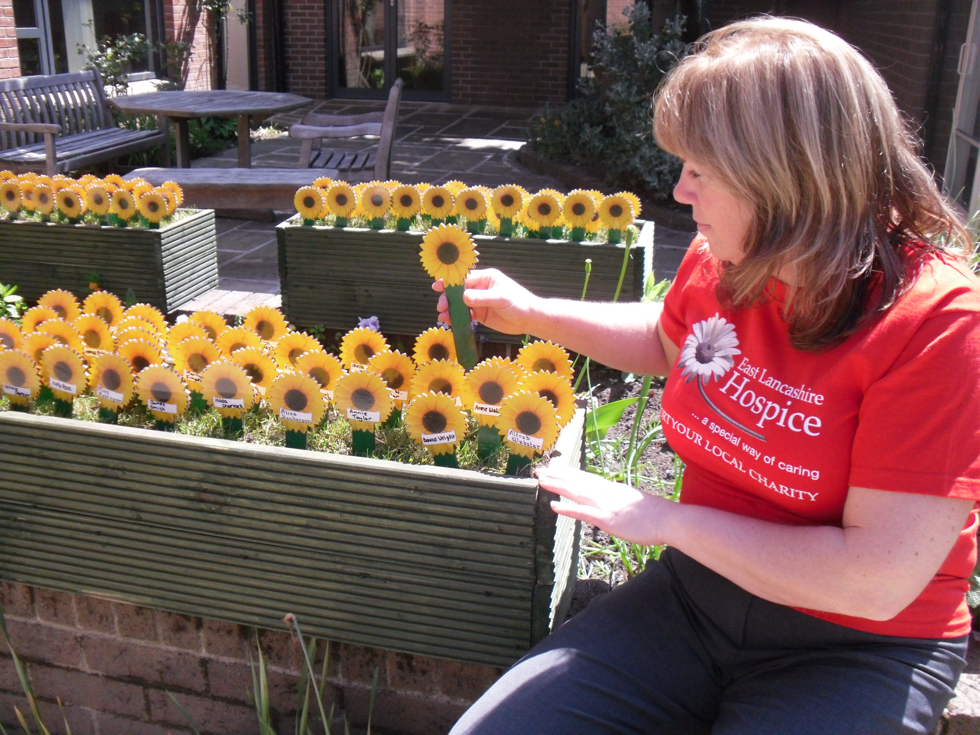 sunflowers