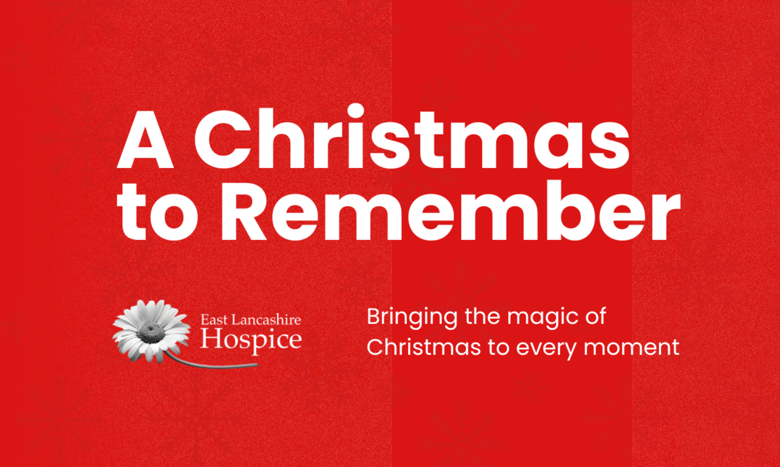 Christmas Campaign 2025