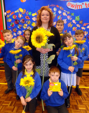 Sunflower appeal launched!