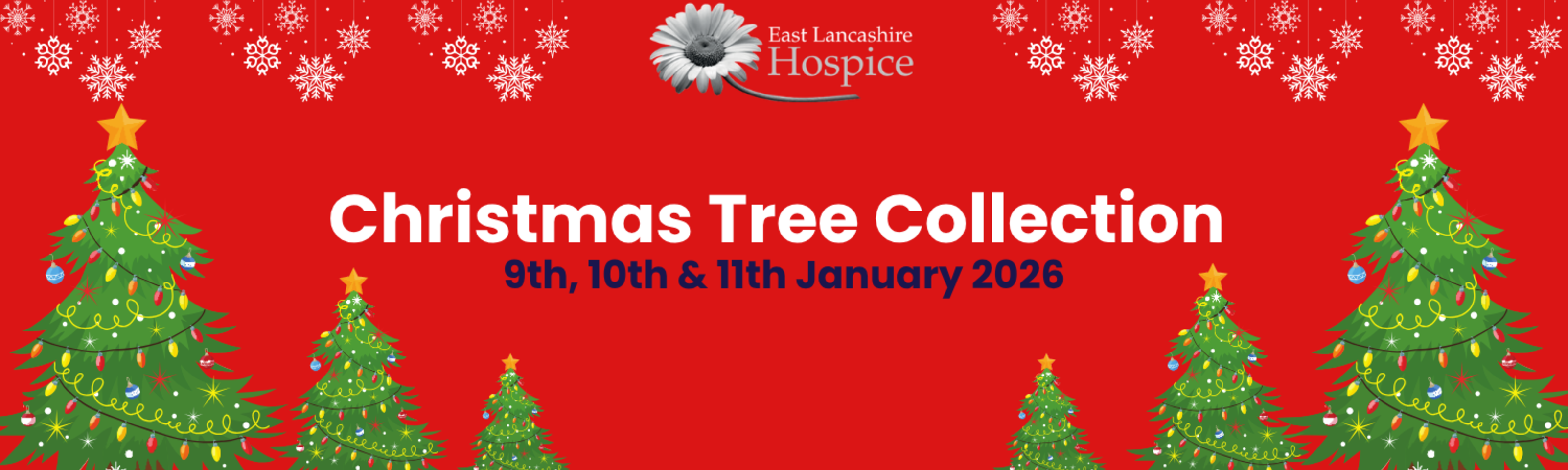 Christmas Tree Collection 2026