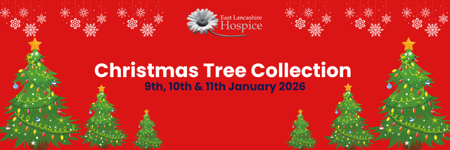 Christmas Tree Collection 2026